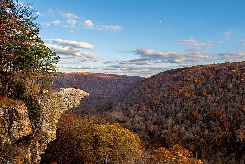 Aerial view of city skyline and river.